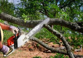 Best Lawn Grading and Leveling  in Franklin, KY