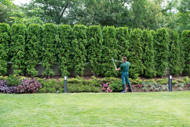 Best Lawn Watering Services  in Franklin, KY