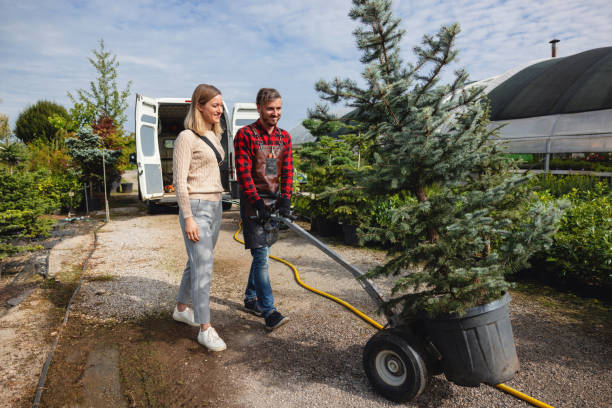 Best Lawn Renovation and Restoration  in Franklin, KY